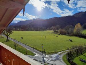 une vue sur un pâturage avec des vaches dans un champ dans l'établissement Ferienwohnungen Rohnbogner, à Point