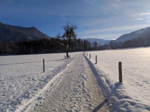ein schneebedecktes Feld mit einem Baum und einem Zaun in der Unterkunft Ferienwohnungen Rohnbogner in Point