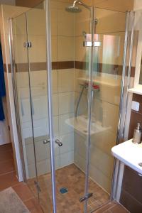 a shower with a glass door in a bathroom at Ferienwohnungen Arp "2D" mit Terrasse und Parkplatz in Itzehoe