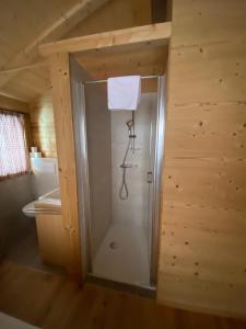 Holzknechthütte في لاختال: حمام مع دش في كابينة خشب