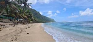 una playa de arena con palmeras y el océano en Jaymy Beach Fales, en Apia
