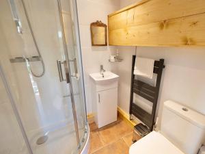 uma casa de banho com um chuveiro, um WC e um lavatório. em 4 Bed in Godshill IC034 em Godshill