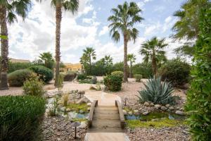 a garden with a wooden pathway and a pond with palm trees at Arcadia by AvantStay Breathtaking Oasis in Scottsdale w Pool Hot Tub Game Room in Scottsdale