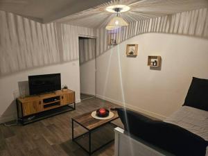 - un salon avec un canapé et une télévision dans l'établissement Appartement rénové proche gares d'Orléans et Fleury les aubrais, à Orléans