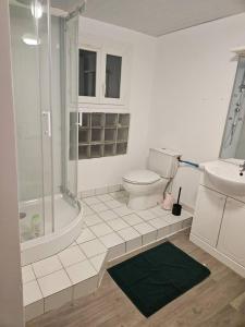 La salle de bains est pourvue de toilettes, d'une douche et d'un lavabo. dans l'établissement Appartement rénové proche gares d'Orléans et Fleury les aubrais, à Orléans