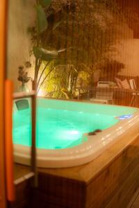 uma grande piscina com em Cocon Nature Montpellier - Jacuzzi & Sauna - 300m du Tramway em Castelnau-le-Lez