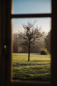 ein Fenster mit Blick auf einen Baum auf einem Feld in der Unterkunft Le Manoir De St Martin - 4 Ch - Deauville in Saint-Martin-aux-Chartrains