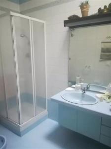bagno con lavandino e doccia in vetro di Appartamento Piazza Dante Alighieri a Grosseto