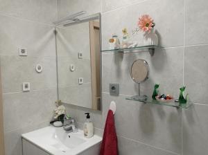 a bathroom with a sink and a mirror at Gonzalo de Berceo 15 " CALIDAD-SOBRIO" AND " FREE PRIVATE PARKING " in Logroño