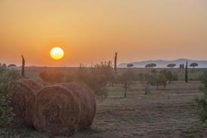 a sunset with hay bales in a field at Casale Oliveta in Orbetello