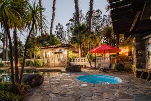 a backyard with a pool and an umbrella and palm trees at Estrella by AvantStay Secluded Spanish-Style Estate on 7 Acres of Vineyards in Windsor