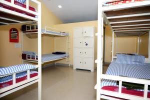 Megha Resort , Hampi في هامبي: غرفة مع ثلاثة أسرة بطابقين في غرفة
