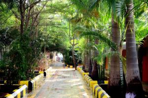 un sentiero fiancheggiato da palme in un parco di Megha Resort , Hampi a Hampi