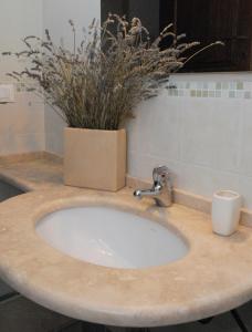 a bathroom counter with a sink with a potted plant at La Finestra su Cortona in Cortona