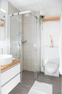 uma casa de banho com um chuveiro, um lavatório e um WC. em Sundroina holiday flat for two people Lenzerheide centre em Lenzerheide