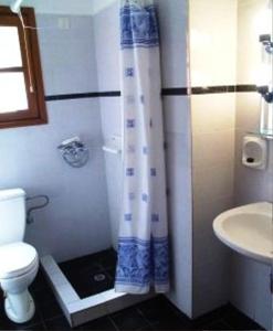 a bathroom with a toilet and a shower curtain at Villa Maro in Skopelos Town