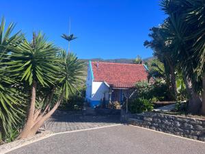 a house with a red roof and palm trees at Lucky Lemons - Boutique Houses Madeira - 2 in Estreito da Calheta