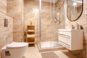 a bathroom with a shower and a toilet and a sink at Boutique Apartment 23 in Jáchymov