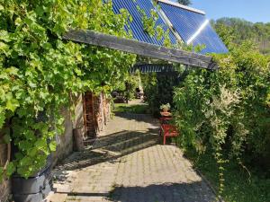 a walkway with a bunch of grape vines at Das grüne Haus am Hexenstieg in Rübeland