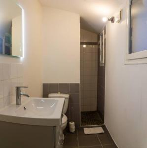 ein Bad mit einem Waschbecken und einem WC in der Unterkunft Appartement avec cour privée + clim séjour + wifi in Avignon