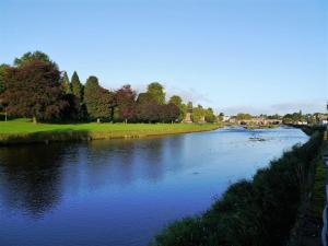 a river with trees on the side of it at Number 48 in Dumfries