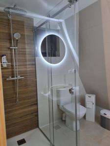 La salle de bains est pourvue d'une douche, de toilettes et d'un miroir. dans l'établissement Aret House, à Avrig