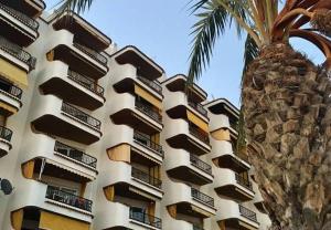 un bâtiment avec un palmier en face dans l'établissement Vistas al Puerto, à La Vila Joiosa