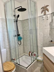 een douche met een glazen deur in de badkamer bij Appartement vue océan in Capbreton