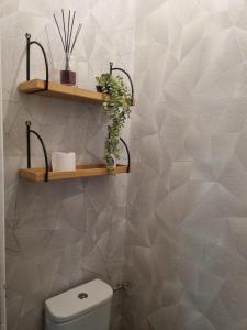 ein Bad mit WC und Regalen an der Wand in der Unterkunft Appart'hotel SOLESMES in Solesmes