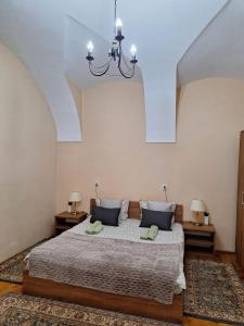 1 dormitorio con 1 cama grande y 2 mesitas de noche en Cluj Memorandumului Apt with Free parking, en Cluj-Napoca