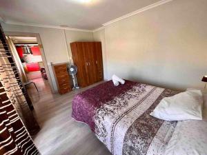 a bedroom with a large bed in a room at Apto A muy equipado cerca del centro in Petrer