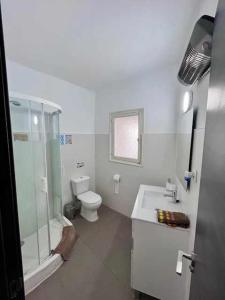 ein Bad mit einer Dusche, einem WC und einem Waschbecken in der Unterkunft Loft interior y tranquilo Petrer B in Petrer