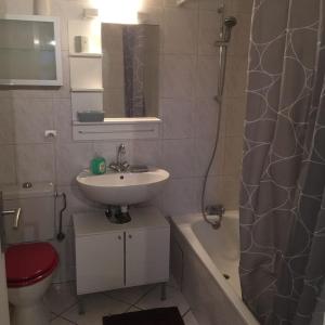 een badkamer met een wastafel, een toilet en een douche bij Au Bel Yvonne in Hagondange