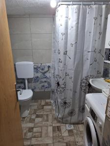 uma casa de banho com um WC e uma cortina de chuveiro em Apartman Jaca 