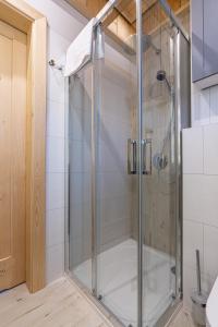 La salle de bains est pourvue d'une douche avec une porte en verre. dans l'établissement Jagodowa Osada, à Dzianisz