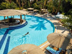 The swimming pool at or close to Sofitel Winter Palace Luxor