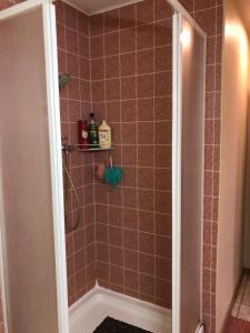 a bathroom with a shower stall with a shower at Pusi Holiday House in Pusi