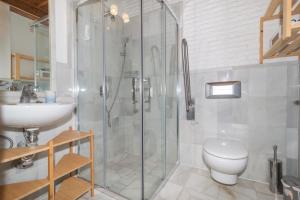 a bathroom with a shower and a toilet and a sink at Alh Patio Apartamentos in Granada
