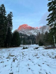 a snow covered field with a mountain in the background at Appartamento con vista sulle Pale di San Martino in San Martino di Castrozza