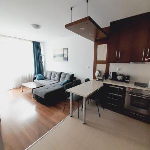 Kuchyň nebo kuchyňský kout v ubytování Апартамент В204 Belvedere Holiday Club