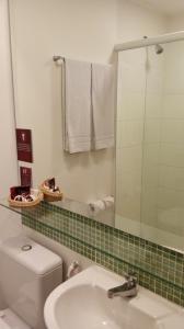 ein Badezimmer mit einem Waschbecken, einem WC und einem Spiegel in der Unterkunft Grande Hotel Itaguaí in Itaguaí