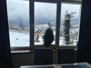 a view of a snow covered mountain from a window at Мелодія Гір in Vorokhta