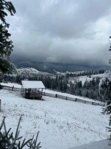 un campo cubierto de nieve con un granero en la distancia en Мелодія Гір Вид на гори en Vorokhta