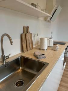 una cocina con fregadero de acero inoxidable y encimera de madera en Cozy Appartement Hagen, en Hagen