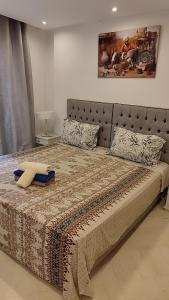 a bedroom with a large bed with a blanket and pillows at Cosy Appartement in "Sidi Bou Said" in Sidi Bou Saïd