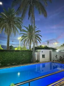 a blue swimming pool with palm trees in the background at Villaannadakar in Dakar