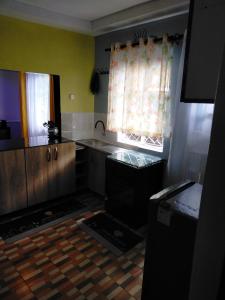 uma pequena cozinha com um lavatório e uma janela em Greenstar Homes em Kisii