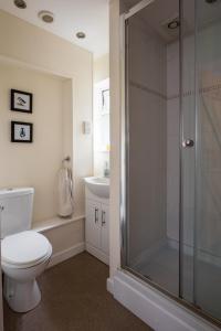 a bathroom with a toilet and a glass shower at Riverside Bothy In Heart of Scenic Harbour Village in Solva