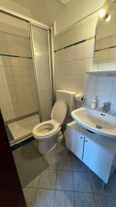 a bathroom with a toilet and a sink at Jerà am Furtnerteich Hotel-Ristorante&Relax in Mariahof