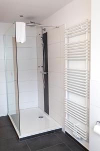 a shower with a glass door in a bathroom at Haus Martina in Poppenhausen